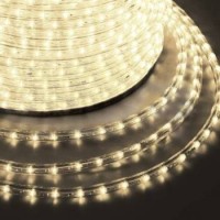 Дюралайт LED, постоянное свечение (2W) - Теплый Белый, 24 LED/м Ø10мм, бухта 100м
