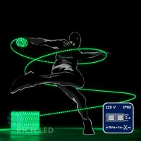 Светодиодный дюралайт Rich LED 13 мм, круглый, 2-х проводной, кратность резки 1 м, фиксинг, зеленый