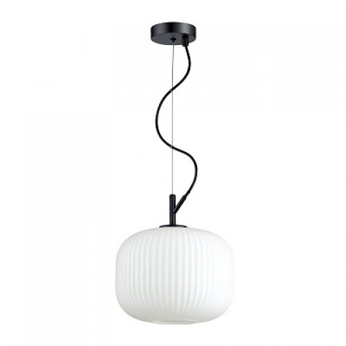 Подвесной светильник Odeon Light Roofi 60W E27 IP20