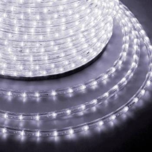 Дюралайт LED, постоянное свечение (2W) - белый, 24 LED/м Ø10мм, бухта 100м